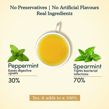 VAHDAM, Organic Spearmint Tea + Peppermint Tea Bags -50 Herbal Tea Bags for PCOS and PCOD | Refreshing & Relaxing Mint Tea